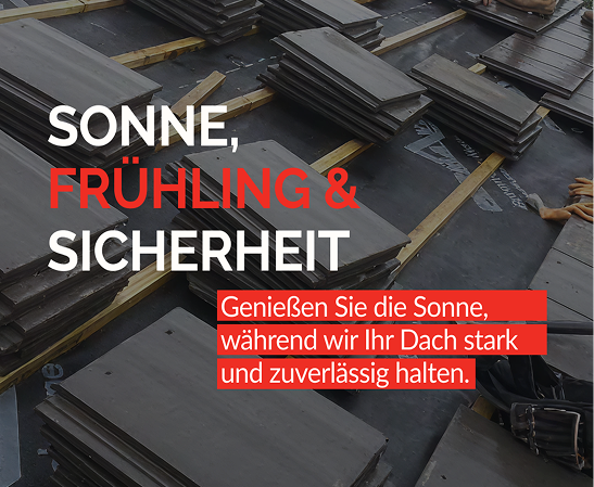 Poster de campaña